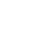 Evolution games at Wirwetten Casino